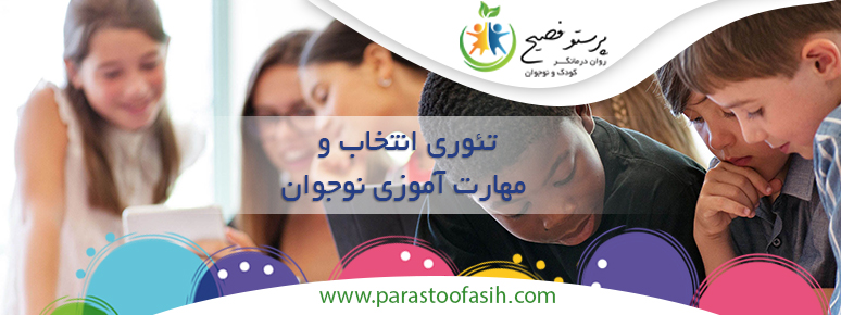 تئوری انتخاب