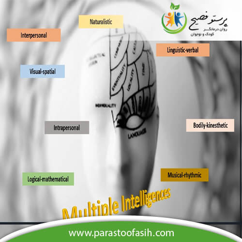 هوش چندگانه